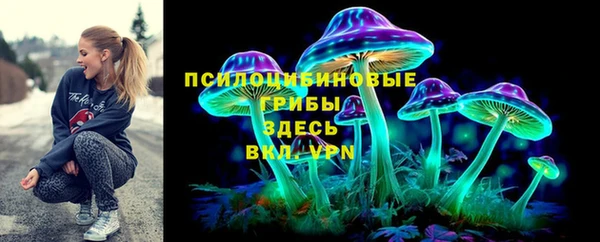 марки lsd Белокуриха