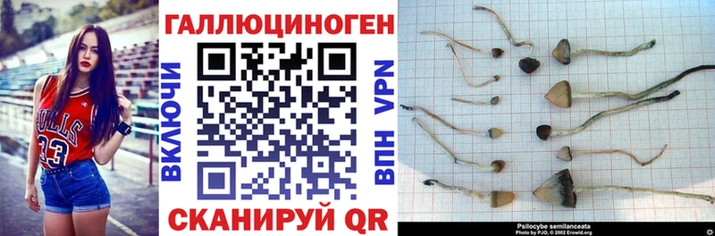 Галлюциногенные грибы Magic Shrooms  Нелидово 